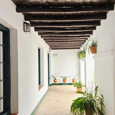 Mezquita Juderia Apartment *