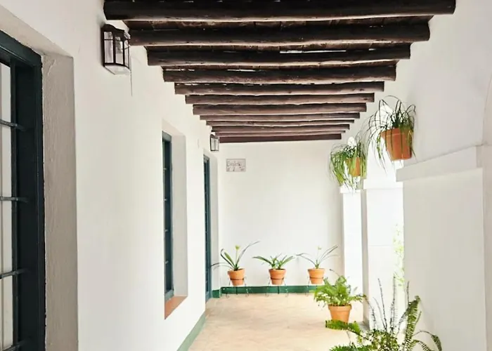 Mezquita Juderia شقة *